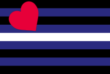 Bandera cuero trans LGBTQIA