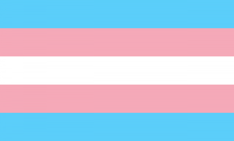Bandera trans