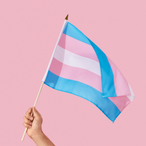 Bandiera transgénero