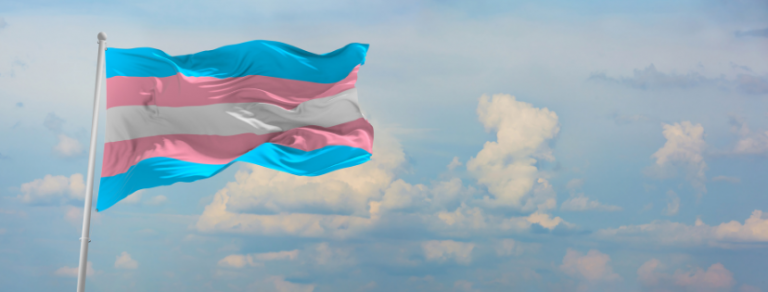 Journée internationale de la visibilité trans